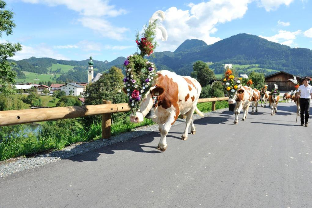 Alpapart Schneider Alpbach Zewnętrze zdjęcie