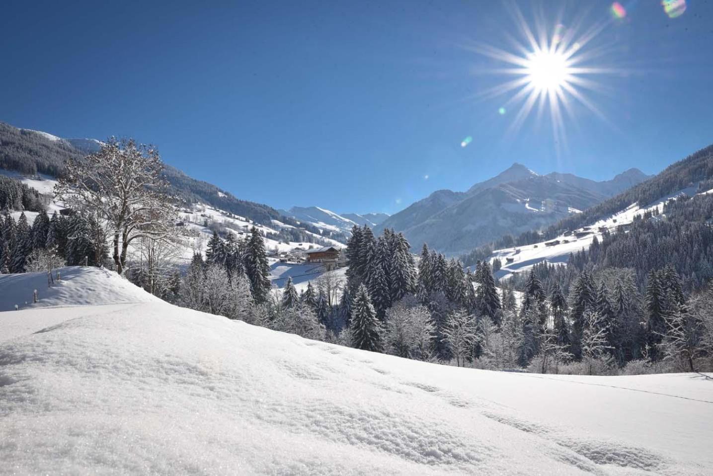 Alpapart Schneider Alpbach Zewnętrze zdjęcie