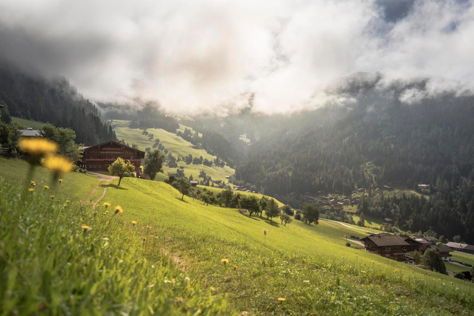 Alpapart Schneider Alpbach Zewnętrze zdjęcie